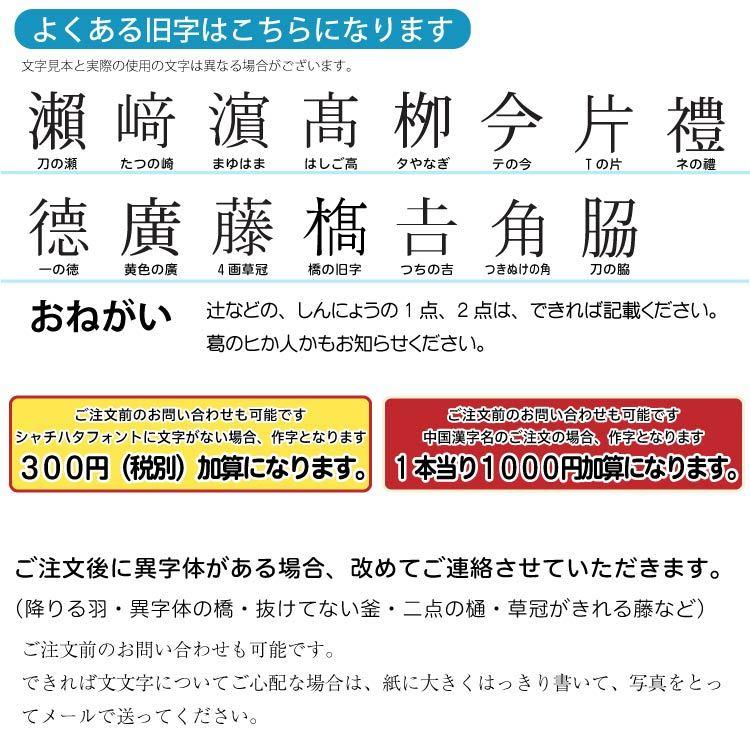 シヤチハタ（Shachihata） シャチハタ はんこ 訂正印 ネーム印 ネーム