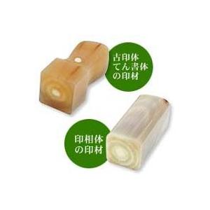 銀行印 認印 会社 法人 角印 オランダ水牛 24mm 印鑑 いんかん 判子 はんこ ハンコ_1