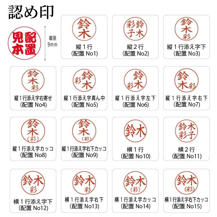 シヤチハタ（Shachihata） 別注品 シャチハタエルツイン くすみカラー