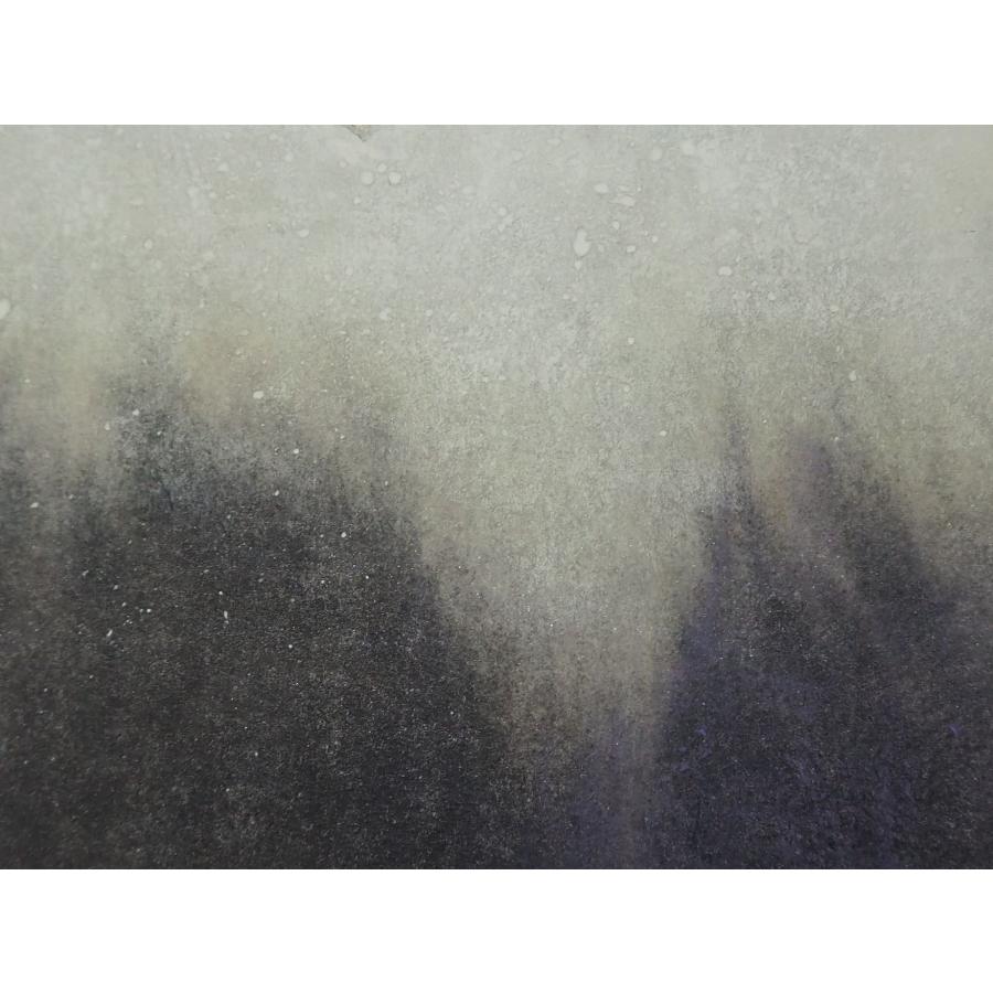 磯部茂樹 絵画 【代表作】 ≪ かまつか ≫ 日本画 カマツカ 湖魚 共