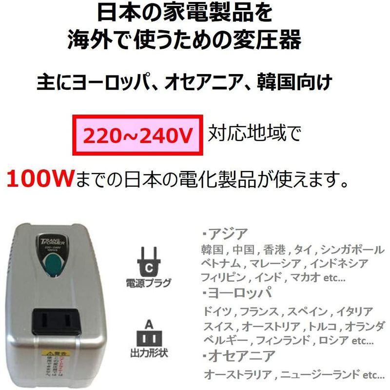 カシムラ 海外用変圧器 220-240V/100VA NTI-1002｜ogawashop｜06