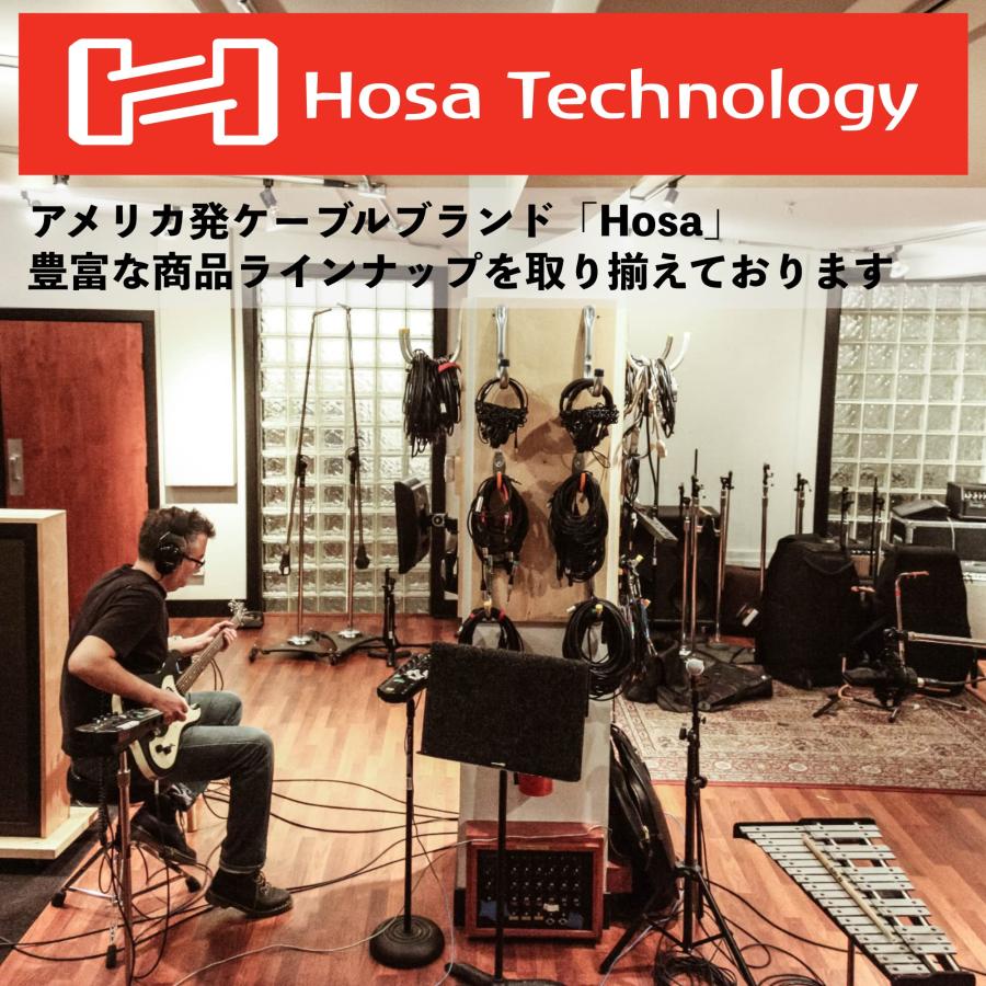 Hosa GPP-290 ステレオフォンメス-モノラルフォンオス 変換プラグ｜ogawashop｜03