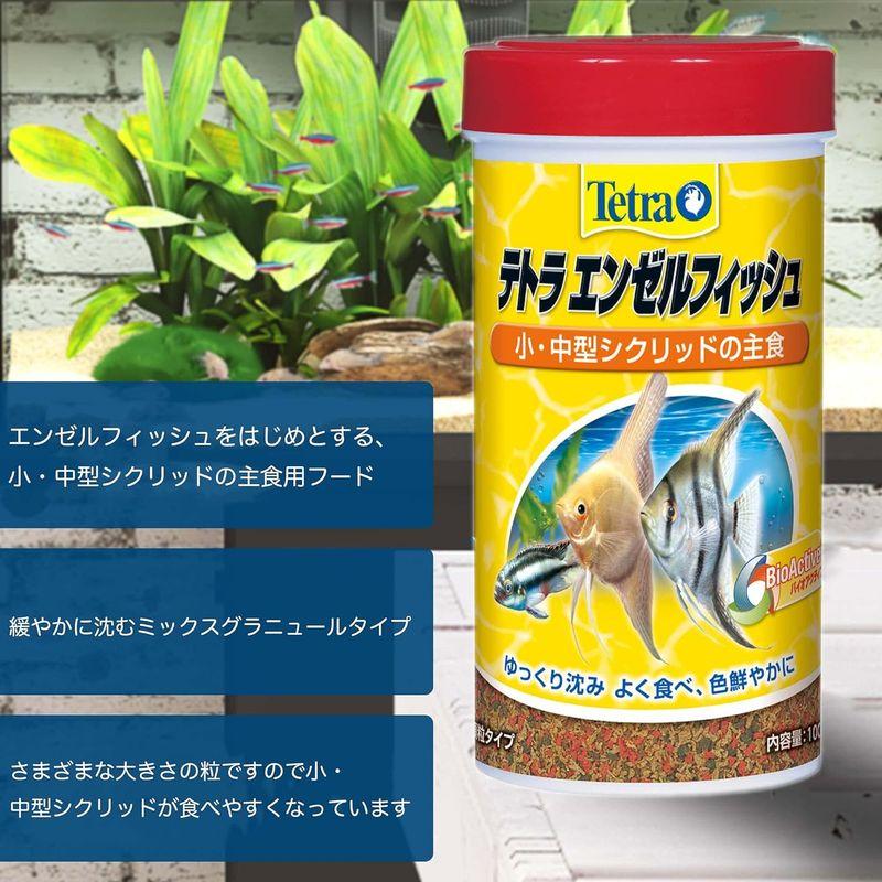 テトラ (Tetra) エンゼルフィッシュ 100g 熱帯魚 エサ｜ogawashop｜03