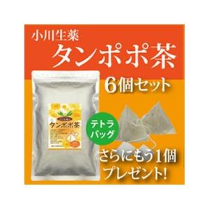 小川生薬 タンポポ茶（たんぽぽ茶）テトラバッグ 2g×36袋 6個セットさらにもう1個プレゼント 健康茶