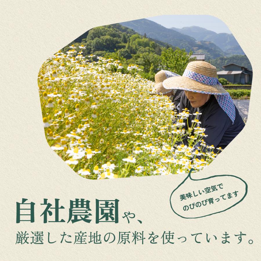 ピンクルイボスティー ルイボスティー ルイボスティ 機能性表示食品 効果 効能 睡眠の質 肌 乾燥 弾力 健康 健康茶 ハイビスカス ティーバッグ 小川生薬 | 小川生薬 | 07