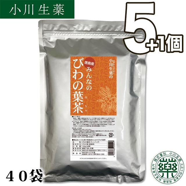厳選小川生薬 特売 徳島産みんなのびわの葉茶 5個セットさらにもう1個プレゼント 与え 3g×40袋