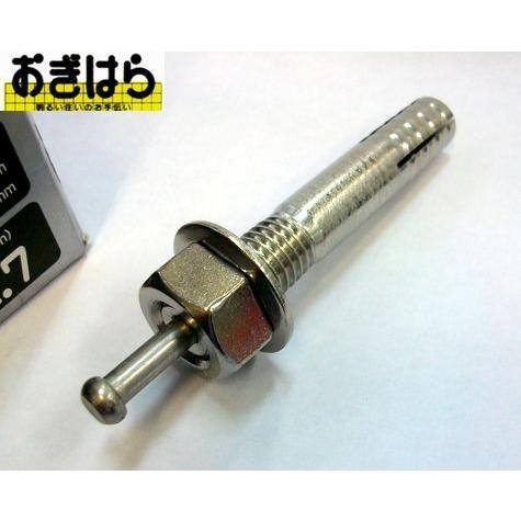サンコーテクノ ステンレス オールアンカー SC-1270 30本入 : おぎはら
