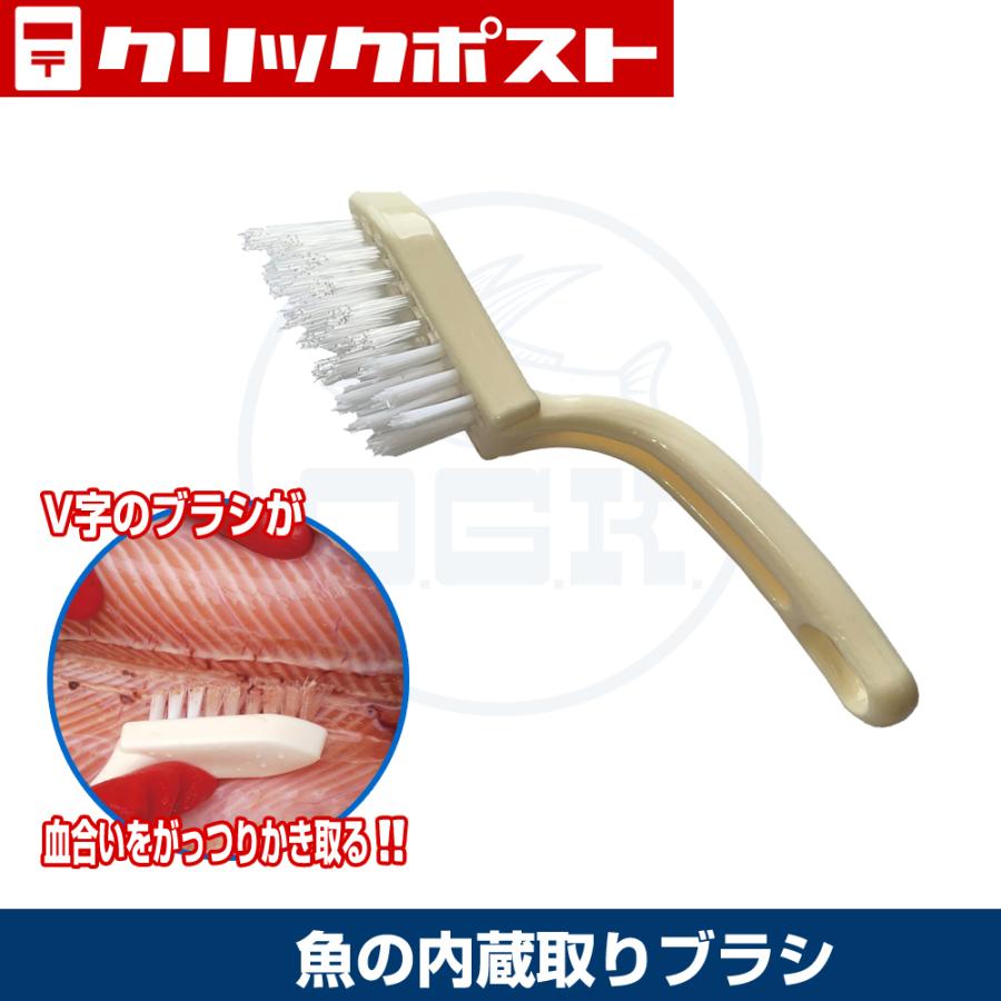 【クリックポスト発送】(OGK) 魚の内臓取りブラシ (OG460) | 大阪漁具