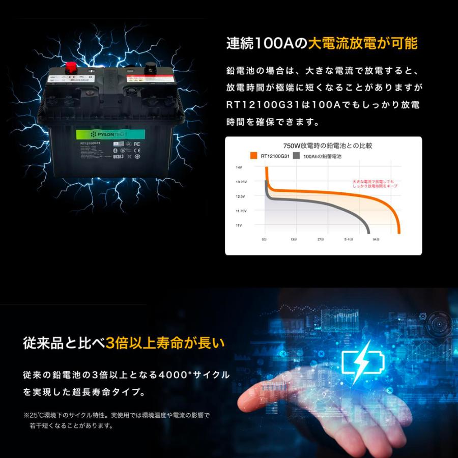 セイキ) リチウムイオンバッテリー 12.8V/100ah RT12100G31 セイキ) リチウムイオンバッテリー 12.8V/100ah RT12100G31