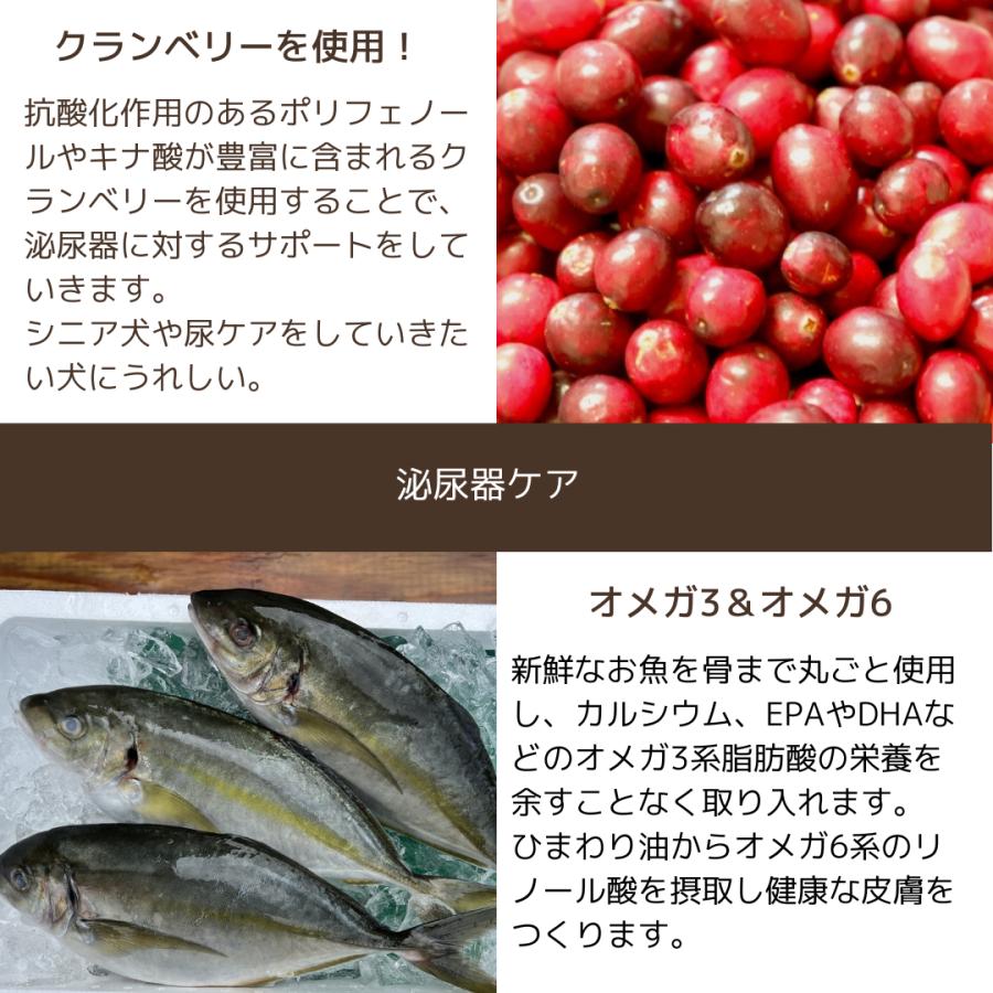 もぐもぐdogプレミアムフィッシュ800g : ねこのて商会 - 通販 - Yahoo!ショッピング