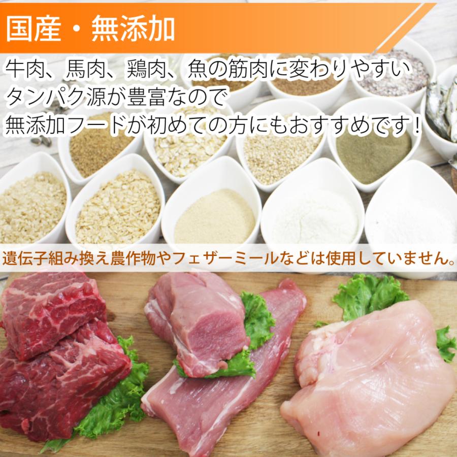 もぐもぐDog ドッグフード シニア犬 「涙・泌尿器サポート 4袋 もぐもぐDog ドッグフード シニア 犬用 アレルギー 消化器