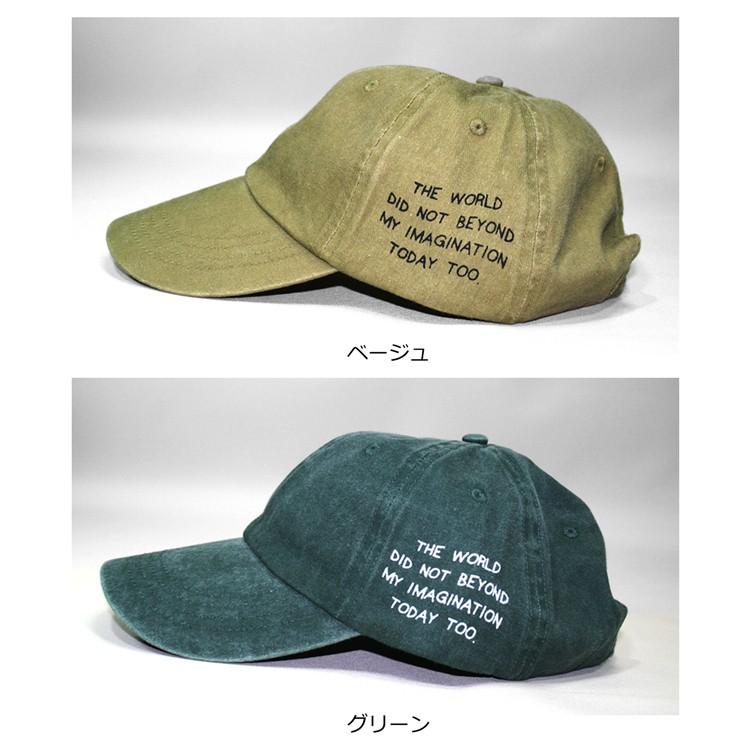 ピグメントダイ サイドプリント ローキャップ [ THE WORLD ] ユニ