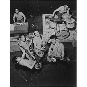 青春のエレキ・パーティー THE GOLDEN AGE OF JAPANESE ELECTRIC GUITAR 〔CD5枚 125曲〕 解説ブックレット カートンボックス 青春のエレキ パーティー THE GOLDEN AGE OF JAPANESE ELECTRIC GUITAR 解説ブックレット カートンボックス