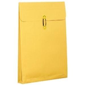 安い売り 業務用100セット 高春堂 カーデックス 132 マチ紐付 A3 223 おしゃれガーデニング用品館 値段交渉 Ybalrid Info