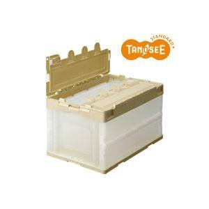 オープニング大放出セール まとめ Tanosee 折りたたみコンテナ 75l 透明 フタ付 10台 223 おしゃれガーデニング用品館 通販 Yahoo ショッピング 高級感 Www Kmhsystems Com