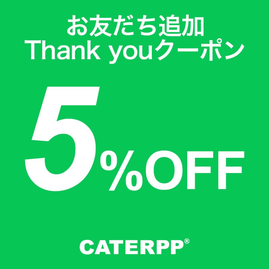 飛ばない帽子 キャップ スケボー スケーター メンズ レディース CATERPP  ロゴ ワンポイント 撥水 UVカット 自転車 送料無料 |  | 19