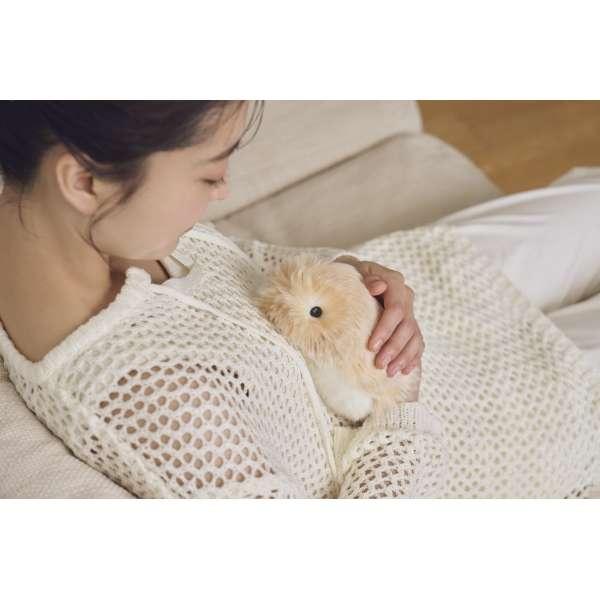 CASIO AIペット(コミュニケーションロボット)Moflin(モフリン CASIO AIペット(コミュニケーションロボット)Moflin(モフリン
