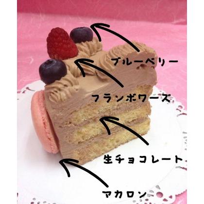 工場直送 生チョコレートケーキ バースデーケーキ お誕生日 パーティー 記念日 サプライズ 丸 10号 代引不可 Studiostodulky Cz