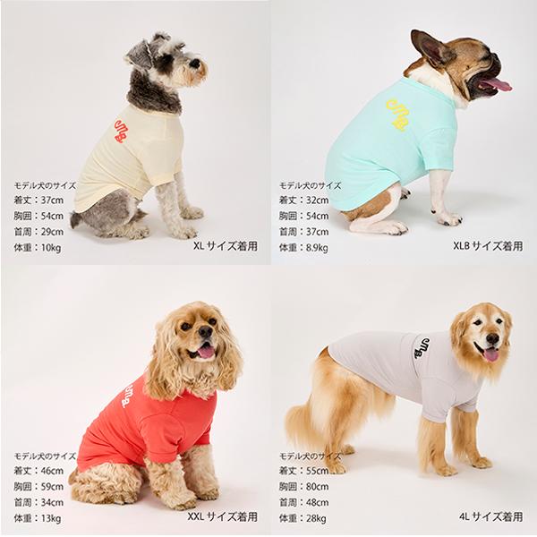 マンダリンブラザーズ MANDARINE BROTHERS ドッグウェア 犬 春 マンダリンブラザーズ MANDARINE BROTHERS ドッグウェア 犬 春