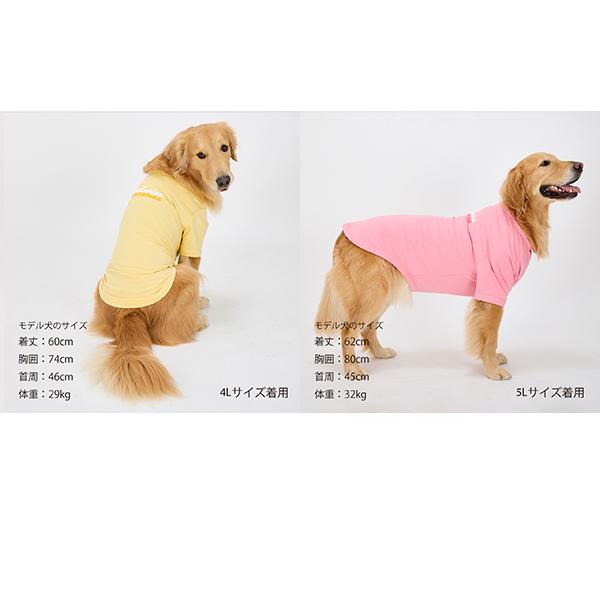 犬 服 夏 接触冷感 マンダリンブラザーズ MANDARINE BROTHERS ドッグ