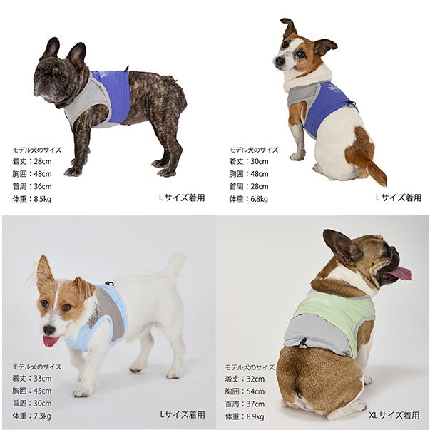 【りん】犬服タンクトップ MANDARINE BROTHERS（マンダリンブラザーズ） ドッグウェア タンク