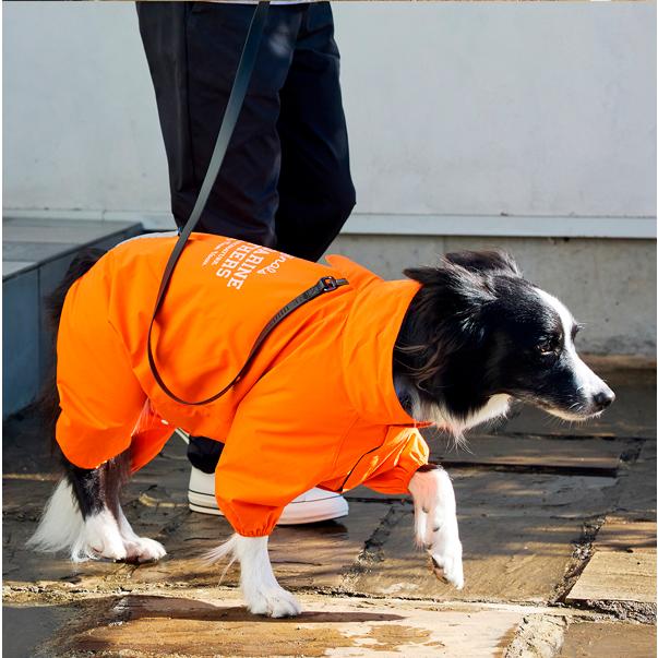 犬服 SS わんこの普段着　オレンジに車 MANDARINE BROTHERS（マンダリンブラザーズ） 犬 服 ドッグウェア