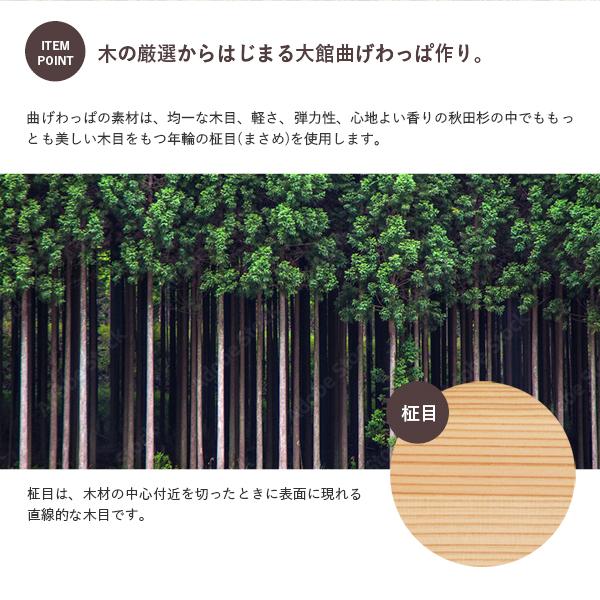 大館曲げわっぱ 2段 弁当箱 国産 弁当 日本製 大館工芸社 梅花 伝統