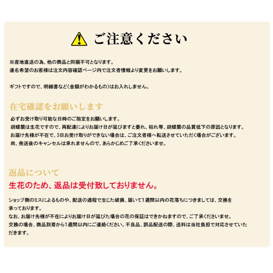 人気ブランド お中元 大輪 胡蝶蘭 たて琴 1本立ち オリジナル らせん型 会社設立 オープン 内祝い スタンド 大輪 お供え 葬儀 葬式 仏事 法事 １回忌 献花 おしゃれ 絶対一番安い Www Simon Page Com