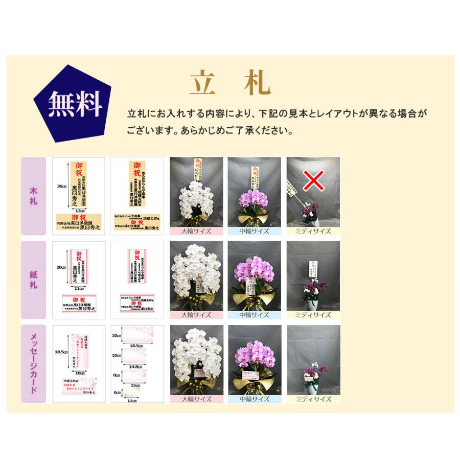 大輪 胡蝶蘭 5本立ち70輪 会社設立 オープン 内祝い スタンド 大輪 お悔や花 お供え 葬儀 葬式 仏事 法事 １回忌 献花 おしゃれ Kuor 5f70 花広場 通販 Yahoo ショッピング