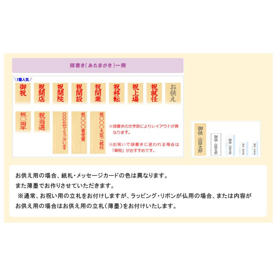 大輪 胡蝶蘭 5本立ちオレアル 会社設立 オープン 内祝い スタンド 大輪 お悔や花 お供え 葬儀 葬式 仏事 法事 １回忌 献花 おしゃれ Kuor 5for 花広場 通販 Yahoo ショッピング