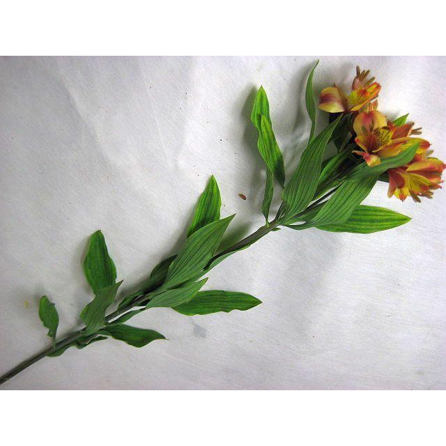 切り花 生花 切花 アルストロメリア ビクトリアdoなど 5本 214 129 005 プリティ マーメイド 通販 Yahoo ショッピング