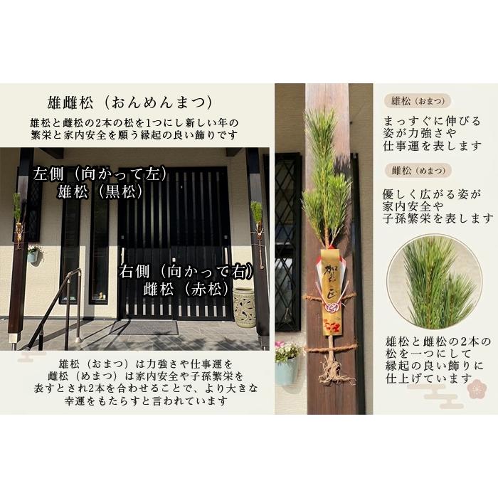 正月 門松 正月飾り 玄関用 雄雌 1組 松 販売 切花 切り花 : プリティ