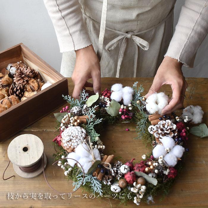 専用コットン　ドライフラワー花材 生花ドライ エダモノ コットン（綿 白色）1本 綿の実枝つき ホワイト