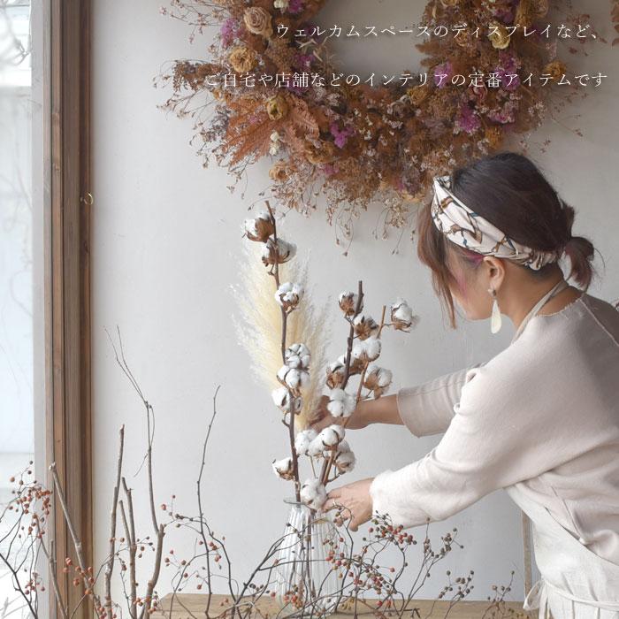 生花ドライ エダモノ コットン（綿 白色）1本 綿の実枝つき ホワイト