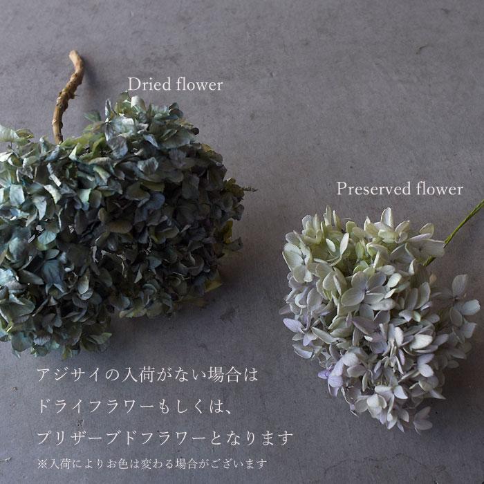 ポプリ スワッグ ボタニークシリーズ 生花 botanique ボタニーク 春のお花のブーケ お祝 送料無料 | プリティ マーメイド | 16