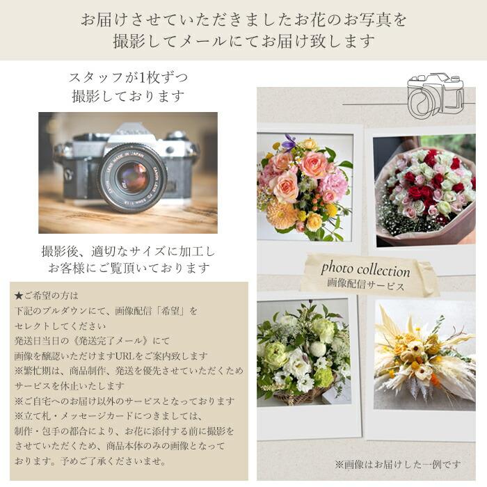 ポプリ スワッグ ボタニークシリーズ 生花 botanique ボタニーク 春のお花のブーケ お祝 送料無料 | プリティ マーメイド | 17