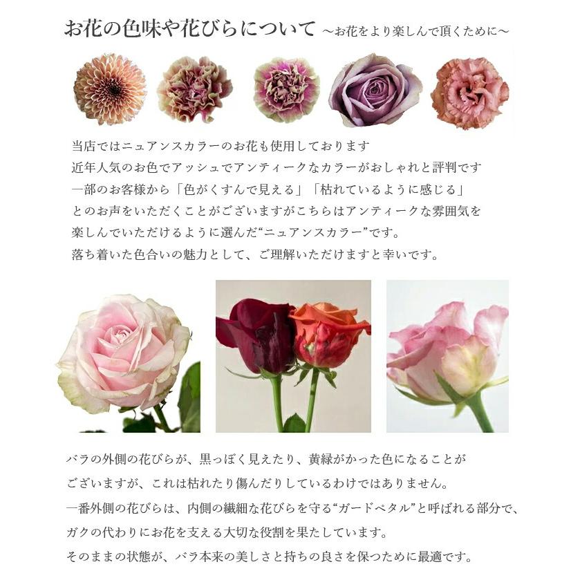 ポプリ スワッグ ボタニークシリーズ 生花 botanique ボタニーク 春のお花のブーケ お祝 送料無料 | プリティ マーメイド | 19