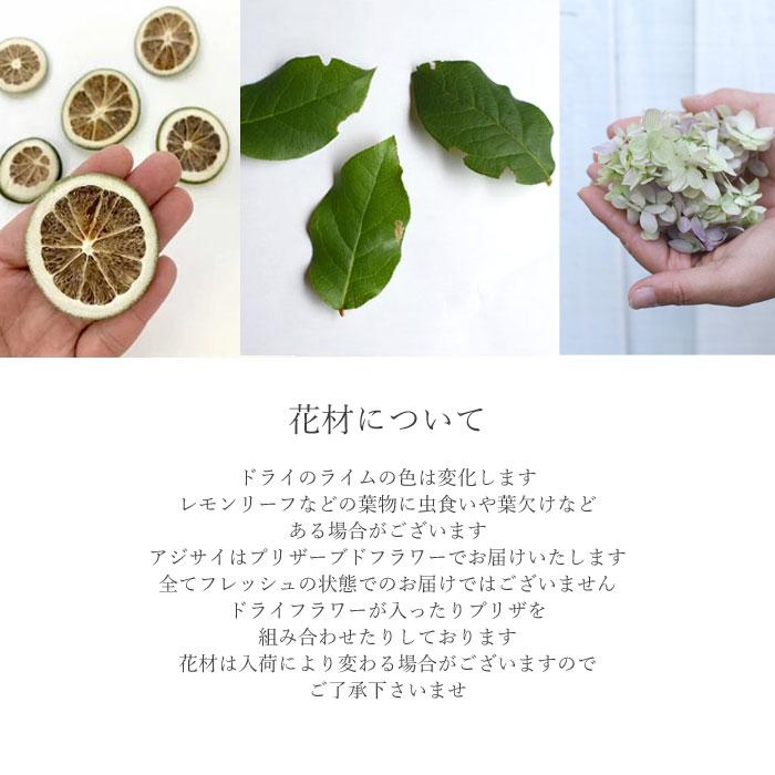 プリティ マーメイド フレッシュ（生花）＆ドライフラワー アジサイ