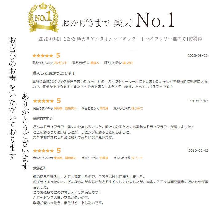玄関 花 誕生日 送別会 退職祝い 結婚祝い お礼 ドライフラワー リース スワッグ グレビリア スワッグ ギフト プレゼント お祝い Dry Greviriaswag プリティ マーメイド 通販 Yahoo ショッピング