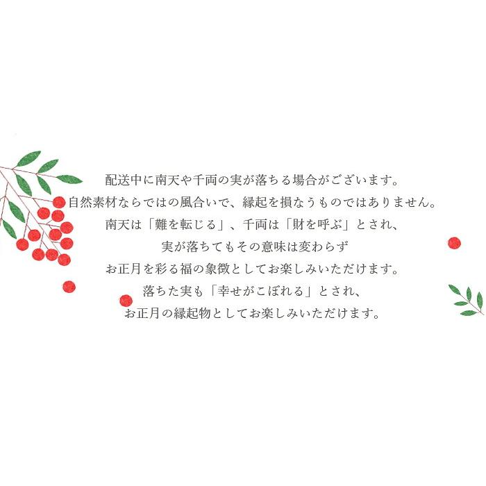 プリティ マーメイド ドライフラワー リース スワッグ しめなわ お正月