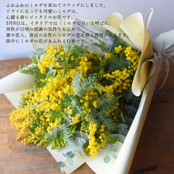 プリティ マーメイド 生花からドライを楽しむミモザスワッグ ミモザ