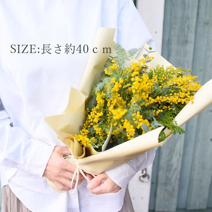 プリティ マーメイド 生花からドライを楽しむミモザスワッグ ミモザ