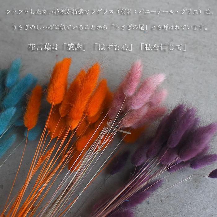 ドライフラワー ブーケ 花束 スワッグ 送料無料 ローズラグラス ナチュラル ボタニカル 女性 誕生日 卒業 送別 退職 母の日 Dry Roselagras プリティ マーメイド 通販 Yahoo ショッピング