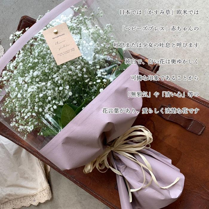 ホワイト かすみ草 カスミソウ 花束 大きいサイズ 純白 白い かすみそう 花束 ブーケ 生花 ドライフラワーにも 送料無料 クリスマス 迎春 Kasumisou 5000 プリティ マーメイド 通販 Yahoo ショッピング