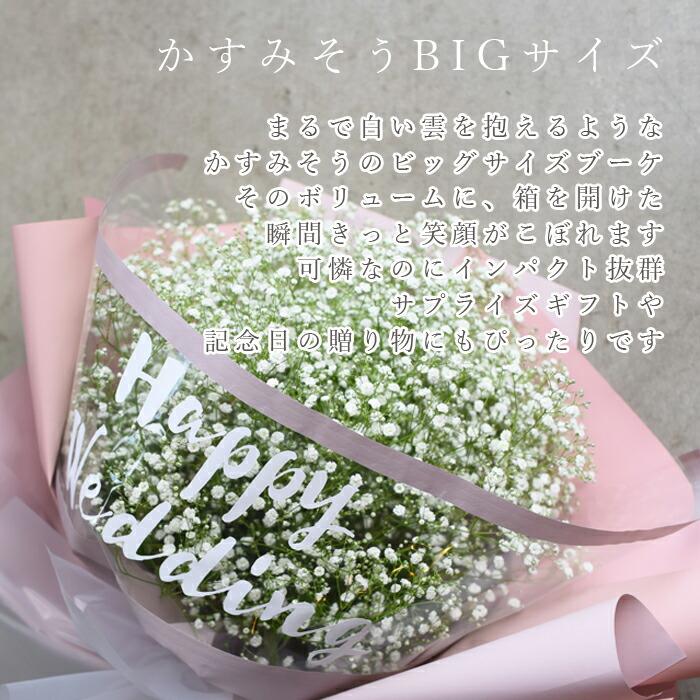かすみ草 カスミソウ 花束(超BIGサイズ) 花 誕生日 結婚 ウエディング   プレゼント ギフト お礼  花束 生花 送料無料 フラワー  お母さん  敬老の日 サプライズの画像