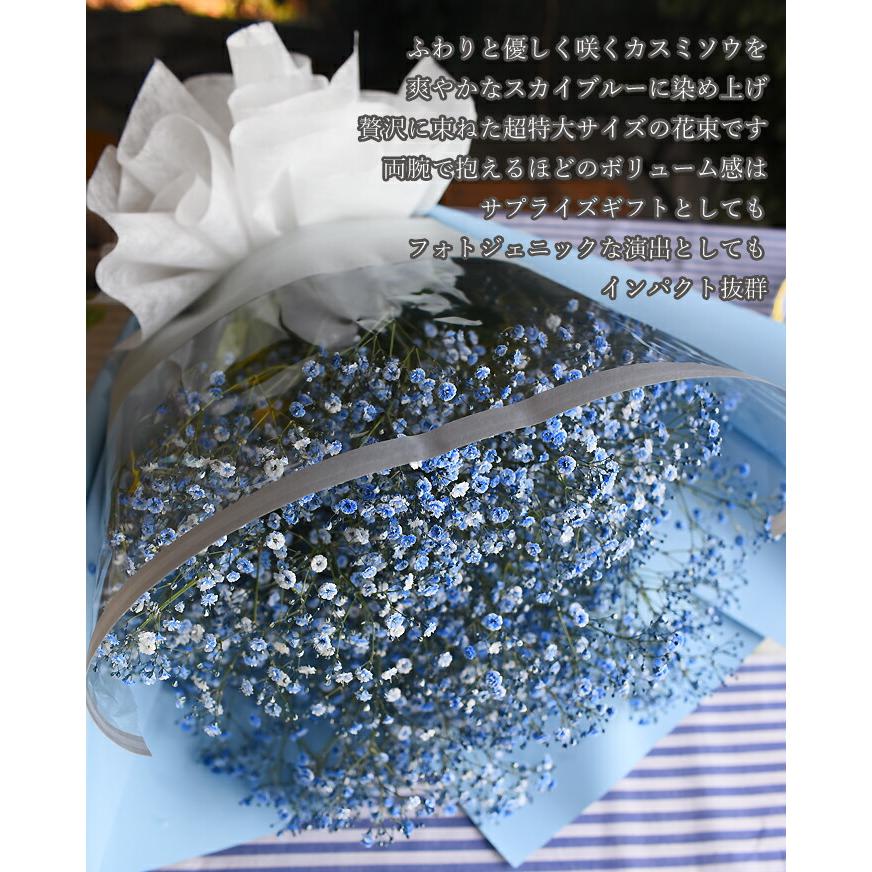 青いかすみ草 カスミソウ 花束(超BIGサイズ) 花 誕生日 結婚 ウエディング  プレゼント ギフト  花束 生花 送料無料 フラワー  お母さん  敬老の日 サプライズの画像
