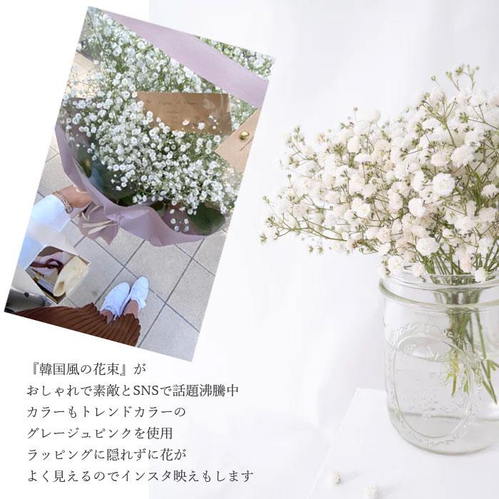 青いかすみ草 カスミソウ 花束(超BIGサイズ) 花 誕生日 結婚 ウエディング  プレゼント ギフト  花束 生花 送料無料 フラワー  お母さん  敬老の日 サプライズの画像
