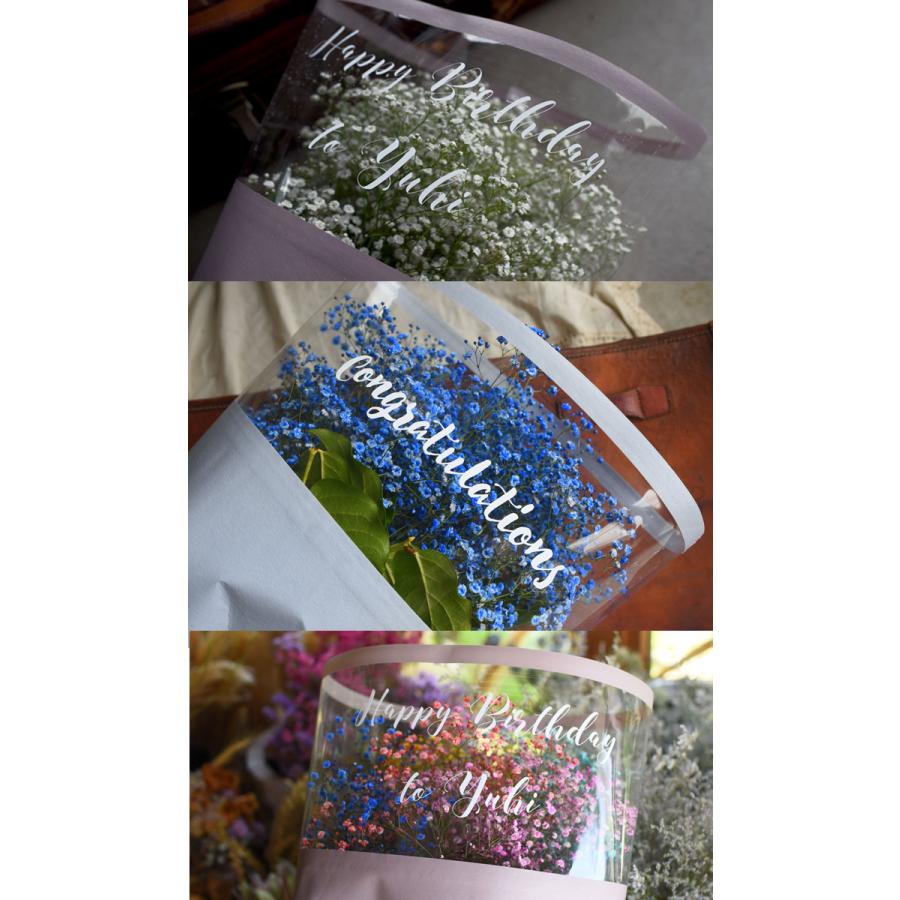 青いかすみ草 カスミソウ 花束(超BIGサイズ) 花 誕生日 結婚 ウエディング  プレゼント ギフト  花束 生花 送料無料 フラワー  お母さん  敬老の日 サプライズの画像