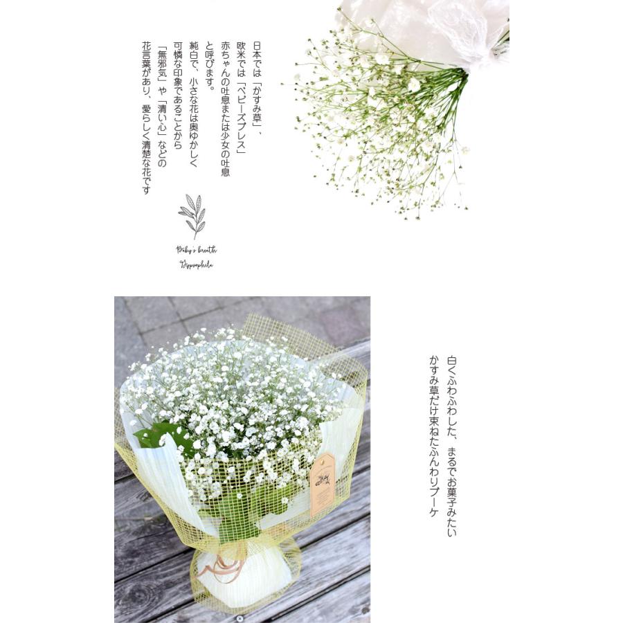 花 ギフト 誕生日 成人式 ウェディング 退職祝い結婚 記念日 お祝い 送別 歓迎 かすみ草 花束 小さいサイズ ギフト プレゼント 送料無料 クリスマス 迎春 Kasumisou Hanataba プリティ マーメイド 通販 Yahoo ショッピング