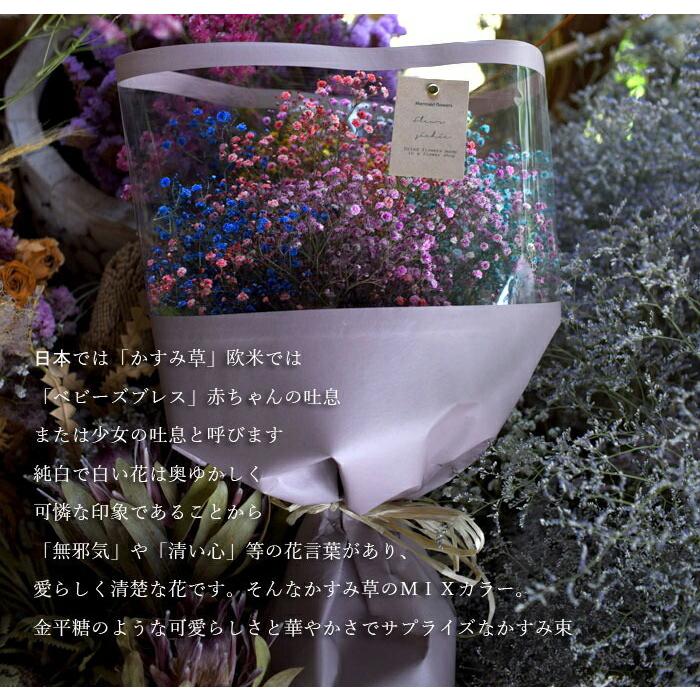 レインボー かすみ草 カスミソウ 花束 大きいサイズ ミックス かすみ草 花束 ブーケ 生花 ドライフラワーにも 送料無料 クール便送料無料 Kasumisoumix Up プリティ マーメイド 通販 Yahoo ショッピング